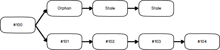 What Are Orphan Blocks and Stale Blocks? An Overview